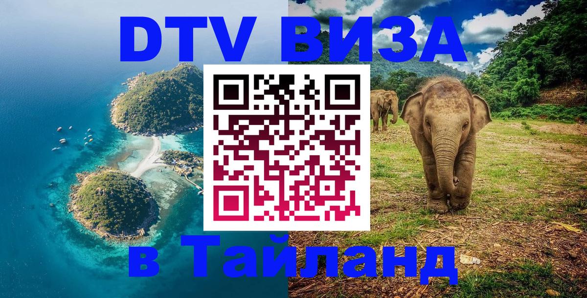 Visa ДТВ Тайланд помощь Сана 